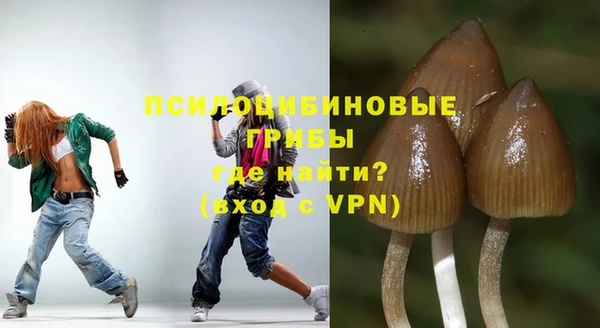 индика Арсеньев