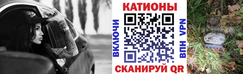 закладки  Сосенский  МЕФ VHQ 